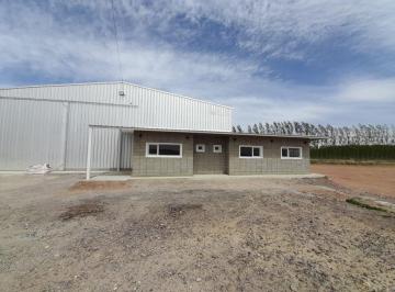 MED-MED-327_2 · Alquilo Galpón 600 m²