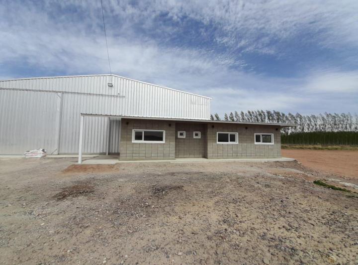 Bodega-Galpón · 600m²