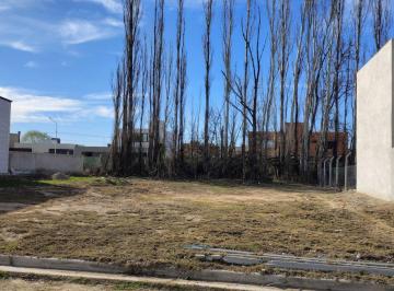 Terreno , Neuquén · Temi Consultora Vende Terrenos en Barrio "Tierra Mansa". Centenario