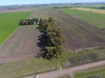 Campo · 66m² · Terreno Campo en Venta en Altos de Robles, Parada Robles, Exaltación de La Cruz