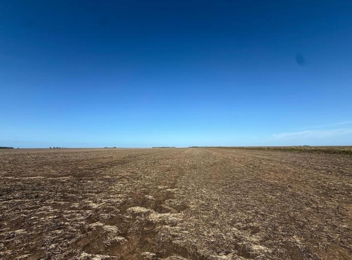 Campo · 600000m²