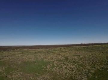 Campo · 250000m² · Terreno Industrial / Logístico Ideal, Cercano a Ingeniero White – 25 Hectares