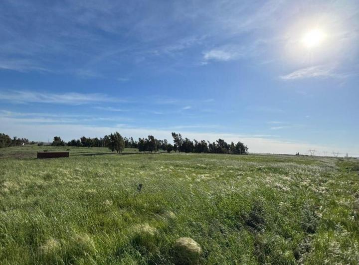 Terreno · 20000m²