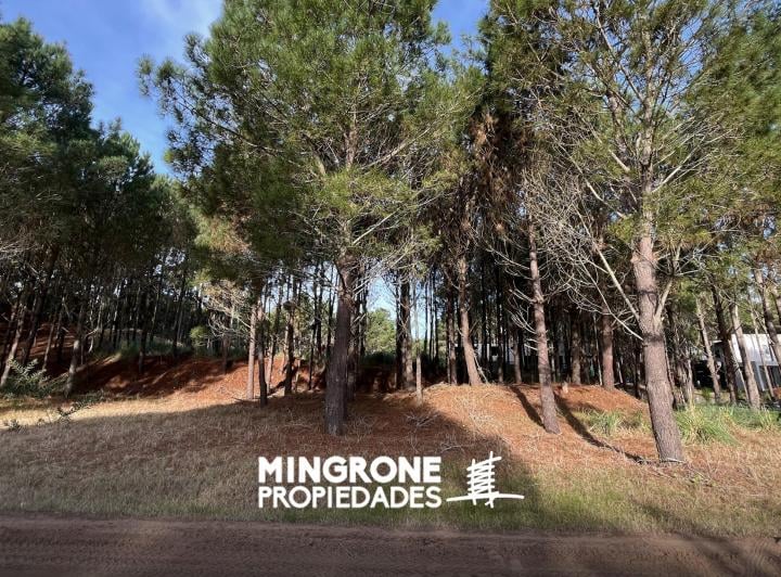 Terreno · 763m²