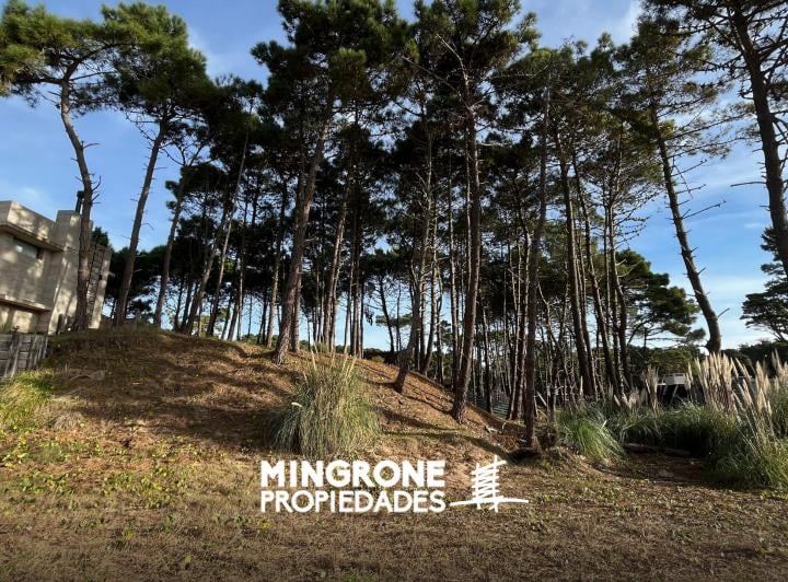 Terreno · 725m²