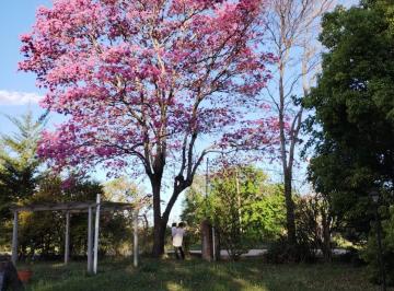 Terreno de 2 ambientes, Arroyo Leyes · Vendo Lote 35.000 y También Casa Quinta 135.000