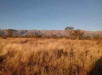 Terreno · 1250m² · Se Vende Terreno Zona Suyuque, Las Lomas