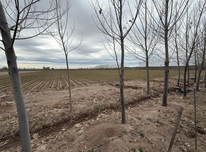 Terreno · 55ha · 2 Ambientes