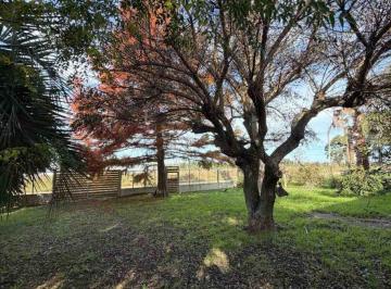Casa · 165m² · 3 Ambientes · 6 Cocheras · Vendo Casa 3 Dorm Terreno Galpón R 101 Barros Blan