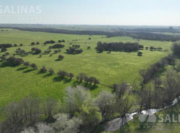 Campo · 170000ha · Chacra con Costa del Arroyo de La Cruz en Capilla del Señor
