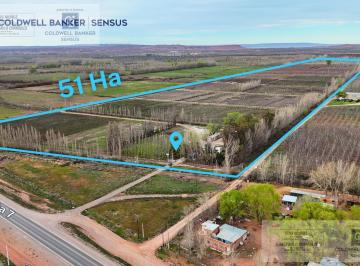 Campo · 510000ha · Chacra en Añelo