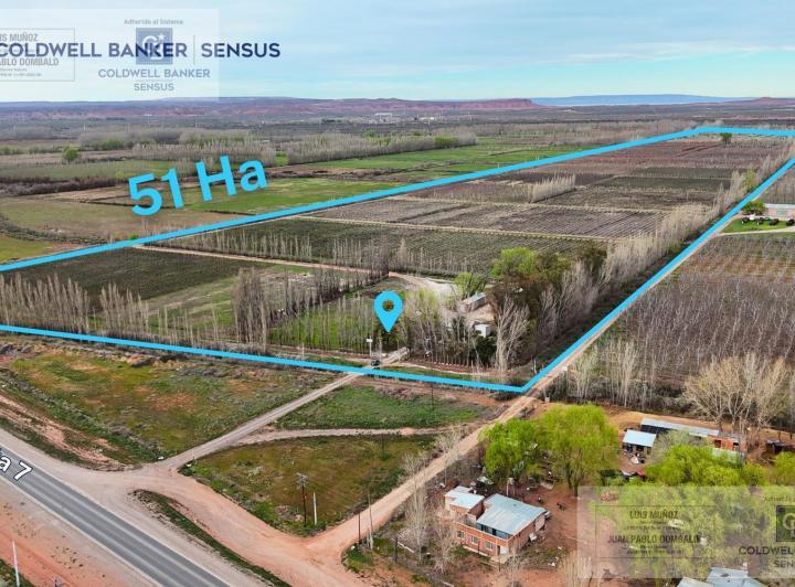 Campo en venta en Añelo