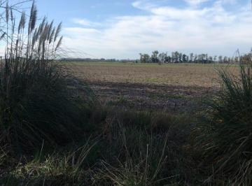 Campo · 940000m² · Campo en Venta de m² en Villa Espil, San Andres de Giles