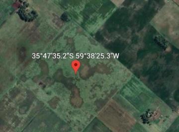 Campo · 540000m² · Campo en Venta - - 540 m - Saladillo