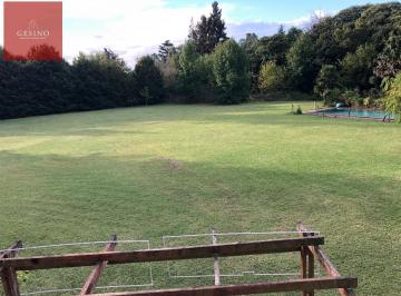 Casa · 150m² · 5 Ambientes · Casa a Refaccionar Sobre Lote de 7.500 m² en Villa Elisa