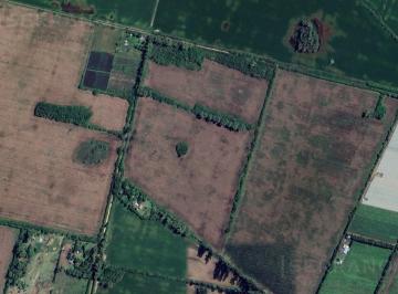 Terreno · 320000m² · Venta Campo Agrícola Ganadero con Mejoras de 32 Ha Zarate