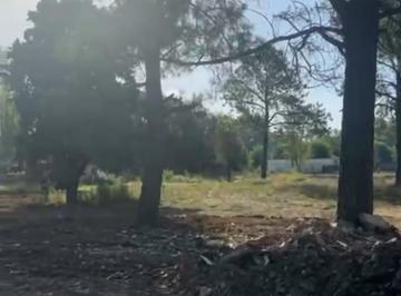 Terreno , Pilar · Hermoso Lote de 2 Héctareas Arbolado, Multiples Destinos