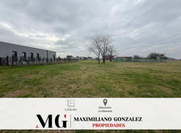 Terreno · 1000m² · Lote Venta - La Alameda