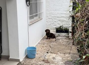 PH de 2 ambientes, San Isidro · Alquiler PH Al Medio en Villa Adelina.