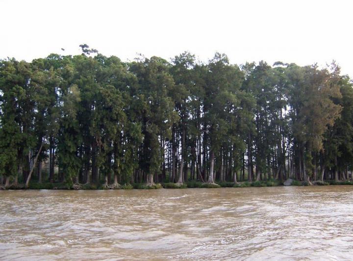 Terreno · 60000m²