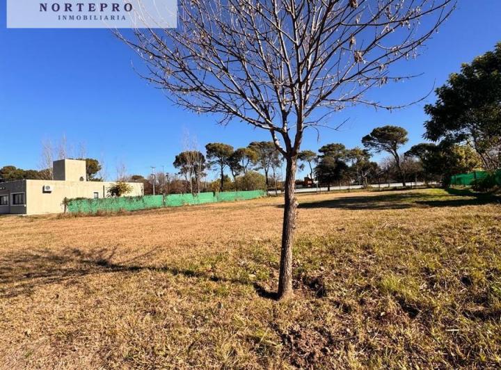 Terreno · 1333m²