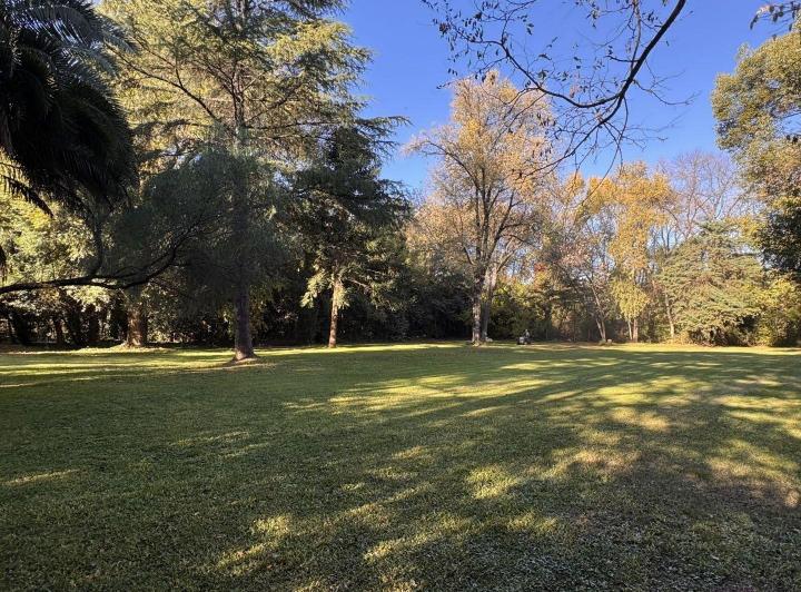 Terreno · 3906m²