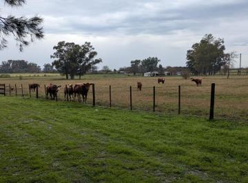 Campo · 8ha · Venta de Campo de 8 Ha en El Pque. Ind. Pilar