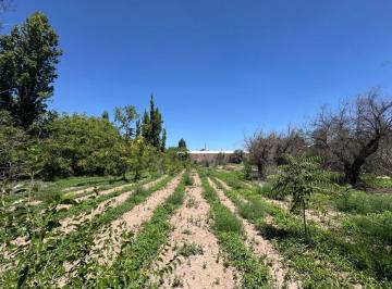 Terreno · 2633m² · Venta Terreno Ideal Desarrollo J. Roca Buena Nueva