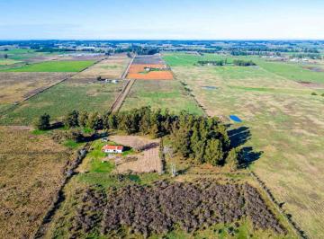 Campo · 100ha · Venta de Campo 10ha con Casa en Estación Pedrera