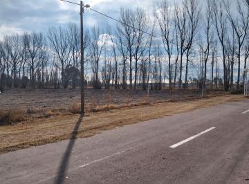 Terreno · 9972m² · Terreno en Mendoza, General Alvear, Bowen.
