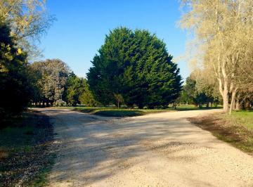 Terreno · 3299m² · Barrio Pinares de Santa Clara. Lote 1, Man 21. Ruta 11, Km 495, Santa Clara del Mar
