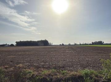 Campo , San Pedro · 6 Hectarias Agricolas