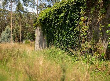 Terreno · 311m² · Venta Terreno Lote 311 m² Parque Bristol Miramar