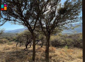 Terreno , Cortaderas · Venta de Lotes en Cortaderas Loma Indialotes Desmalezados y Alambrados