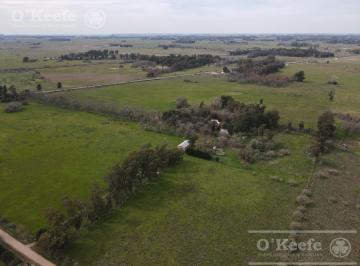 Campo · 420000ha · Chacra en Venta en Brandsen 42 Has - Sobre Ruta 210