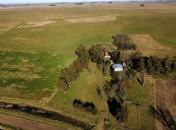Campo , Ayacucho · Campo 297 Ha Udaquiola, Provincia de Buenos Aires.