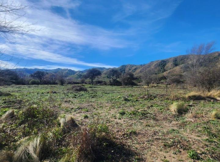 Terreno · 7330m² · 1 Ambiente