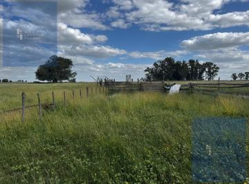 Campo · 420ha · Campo en Bolivar