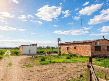 Campo , Rama Caída · Venta Finca 32.3 Hectáreas en Rama Caida con Todos Los Servicios, Casa y Galpón