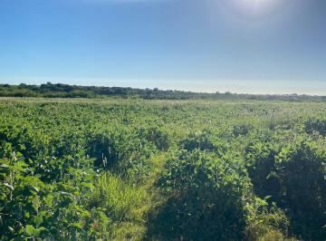 Terreno , Santa Elena · Venta de Campo – 65 Hectáreas