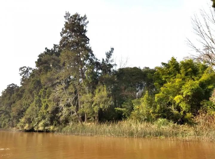 Terreno · 130000m²