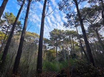 Terreno · 1144m² · Venta de Lote en Carilo