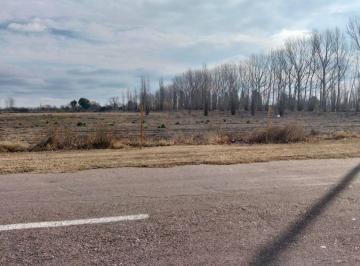 Terreno · 2250m² · Lotes en Mendoza, General Alvear, Bowen