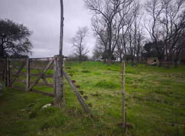Terreno , Saladillo · Chacra de 4 Hectáreas, Cuartel I, Saladillo