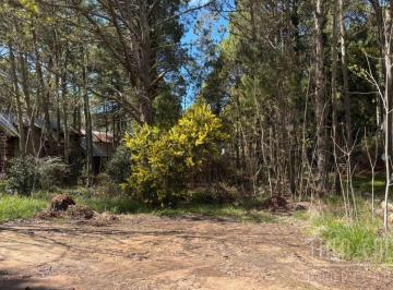 Terreno , Cariló · Lote en Venta en Cariló – 1.024 m² Rodeados de Naturaleza