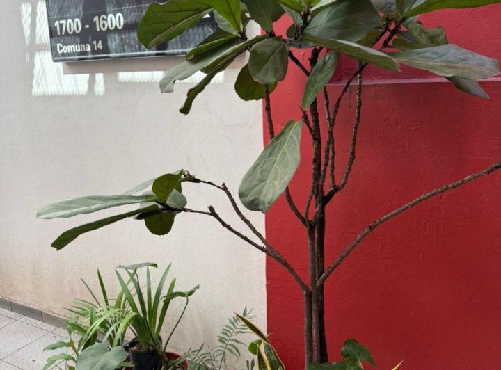 Departamento · 55m² · 2 Ambientes