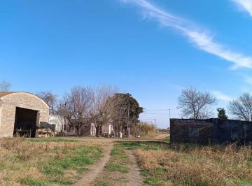 Campo · 200ha · Campo de 10h con Galpon en Recreo Sur
