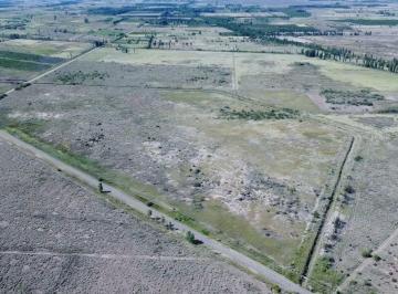 Campo · 5ha · Venta de Finca en San Rafael, Mendoza.
