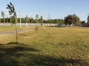 Terreno , Tigre · Lote en Venta 740 m Barrio El Alamo Benavidez