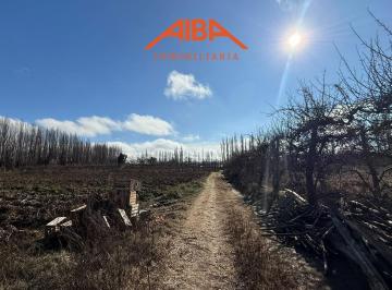 Campo · 40000m² · Chacra de 4 Has en Vista Alegre Norte